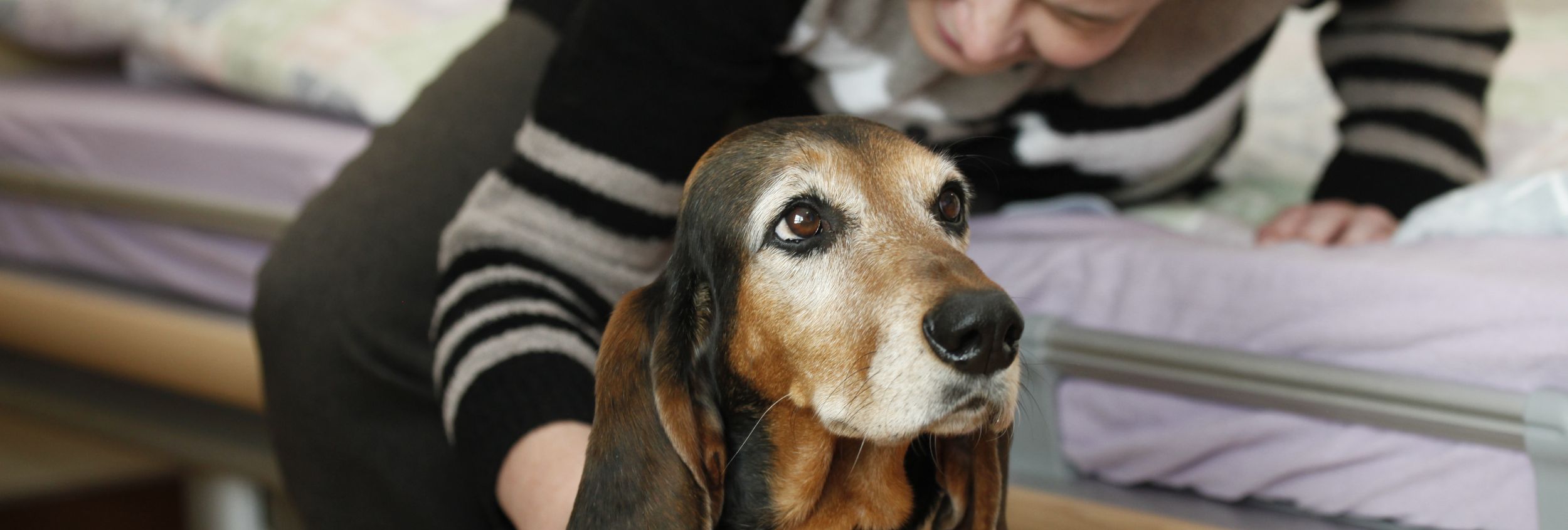Frau beugt sich über einen Hund auf dem Bett